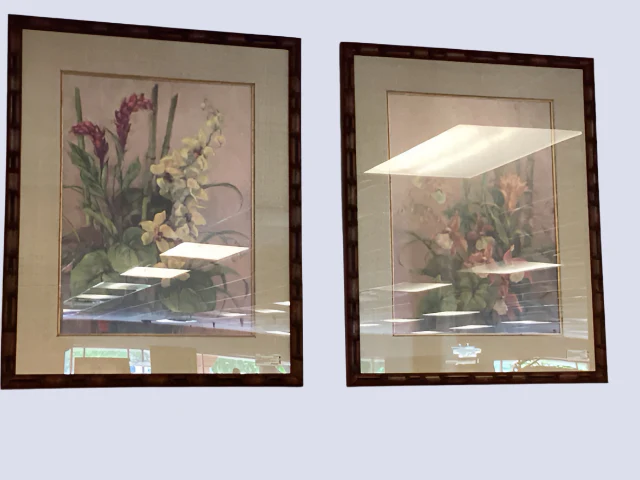 Floral Print Framed Pair