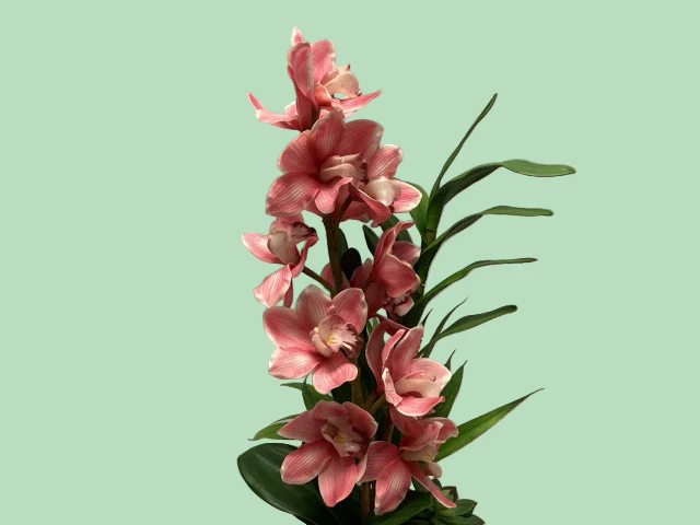 Hot Pink Cymbidium In Vase - Image 2