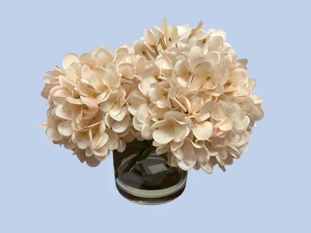 Hydrangeas In Glass Container Round