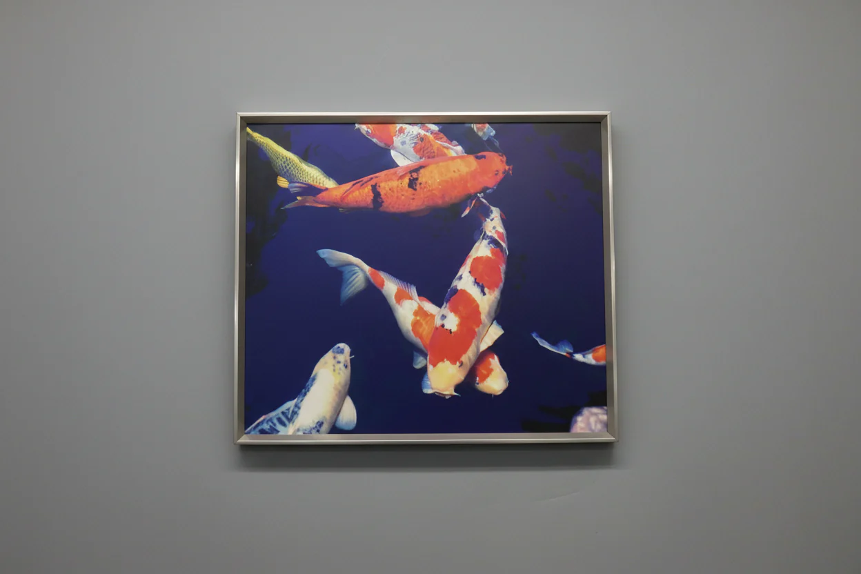 Koi Fish Print