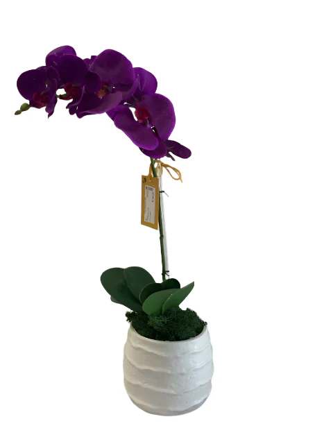 Orchid In White  Ruffle Vase - Image 2
