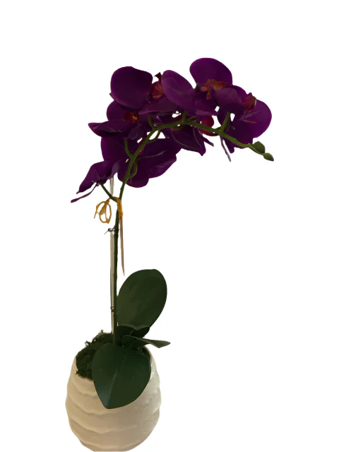 Orchid In White  Ruffle Vase - Image 3